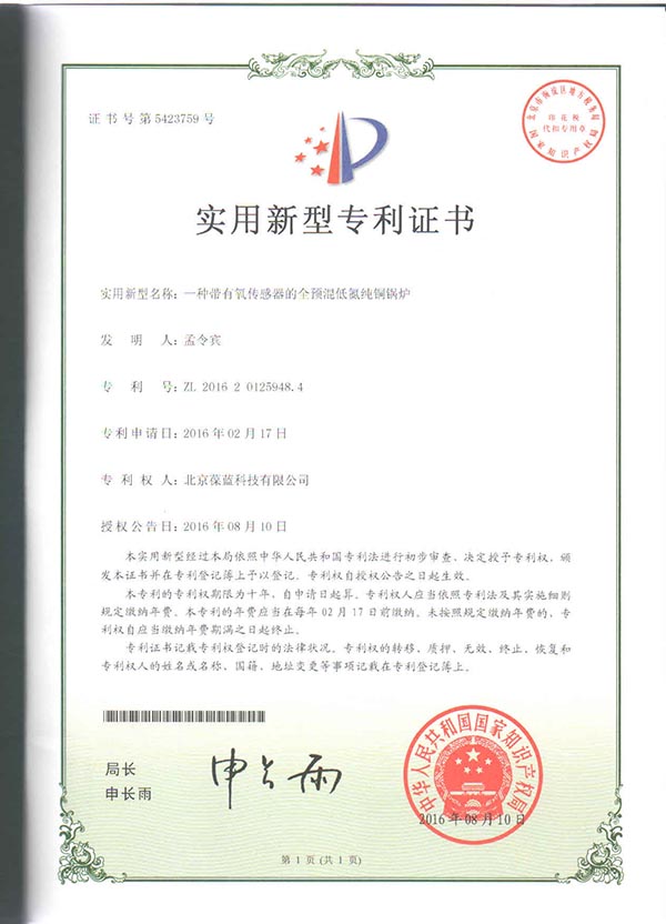 3499拉斯维加斯专低氮铜管锅炉 带监控系统 专利技术